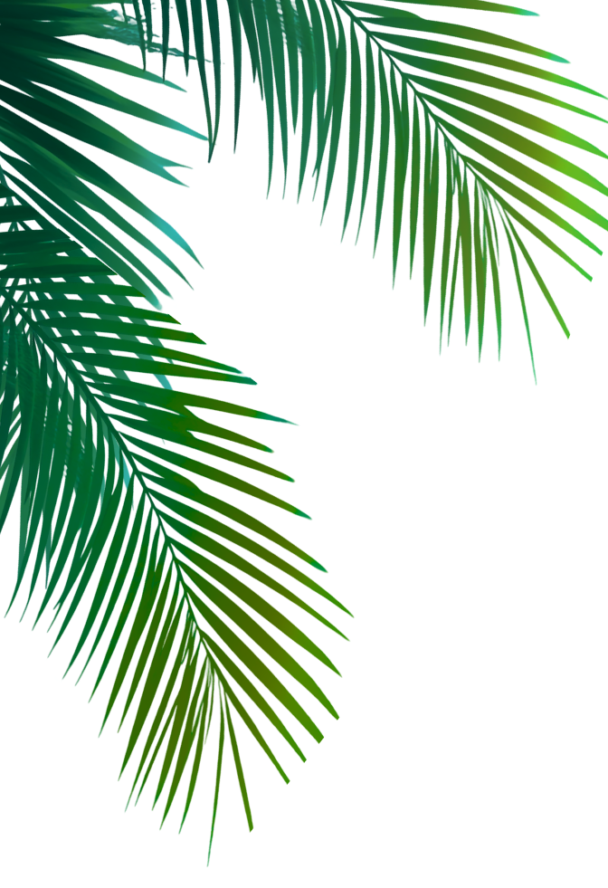 Advance Auto Parts Ultimate Beach Break Sweepstakes advance-auto-parts-ultimate-beach-break-sweepstakes