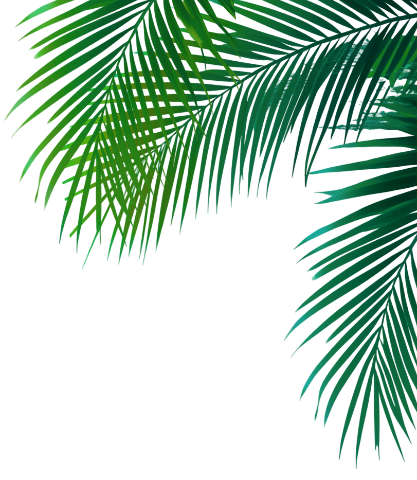 Advance Auto Parts Ultimate Beach Break Sweepstakes advance-auto-parts-ultimate-beach-break-sweepstakes